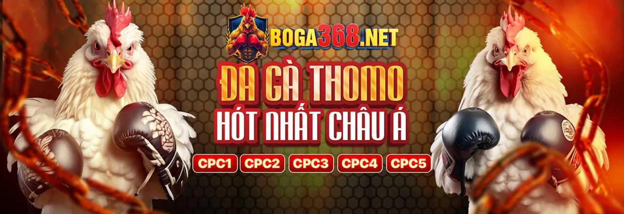 Tải ứng dụng i9bet129 để cá cược trên di động