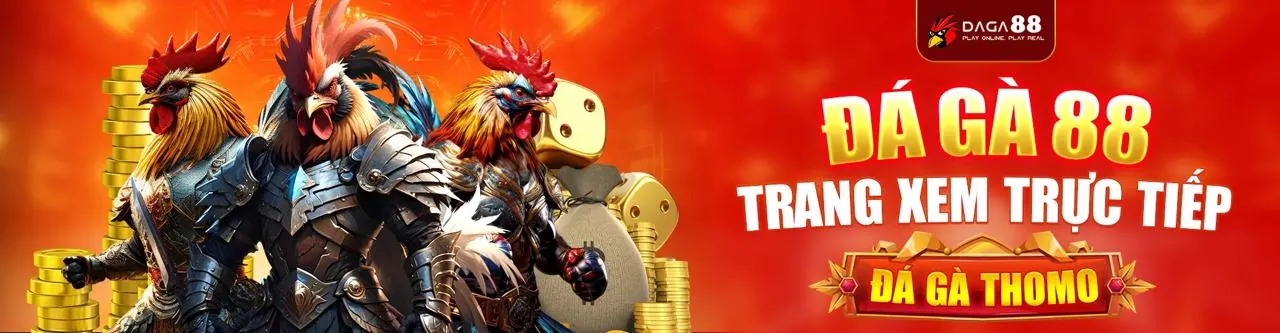 Trận đấu đá gà kịch tính tại i9bet129